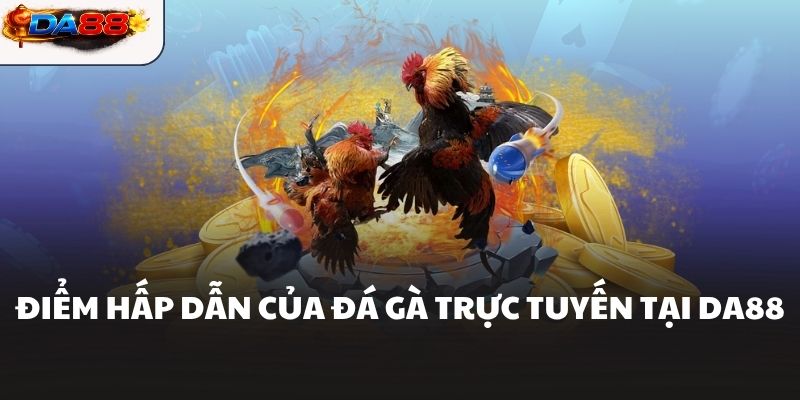 Điểm hấp dẫn của đá gà trực tuyến tại DA88